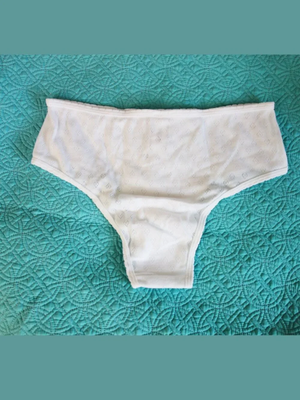 Victoria's Secret PINK Cotton CHEEKY Panty White Heart Pointelle (L) NWT!